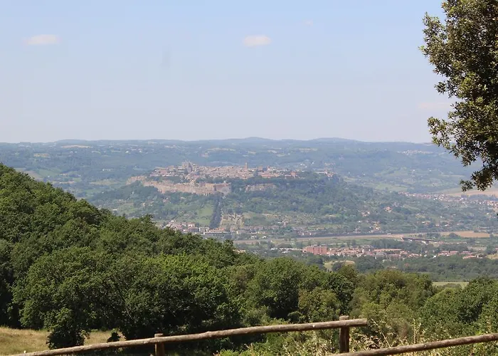 Fattoria Poggio BoalaioAgriturismo